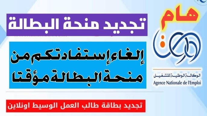 ” لطلب العمل anem wassit ” رابط تجديد منحة البطالة بالجزائر 2024 وتعرف علي طريقة تجنب أسباب رفض المنحة