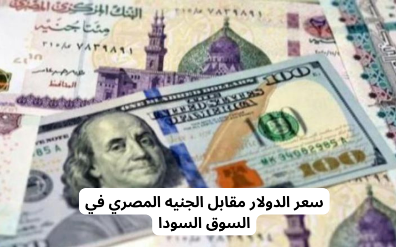 ‘‘ رفع علي خفيف ‘‘ سعر الدولار في السوق السوداء اليوم الاثنين 26 فبراير 2024 مفأجاة للكل