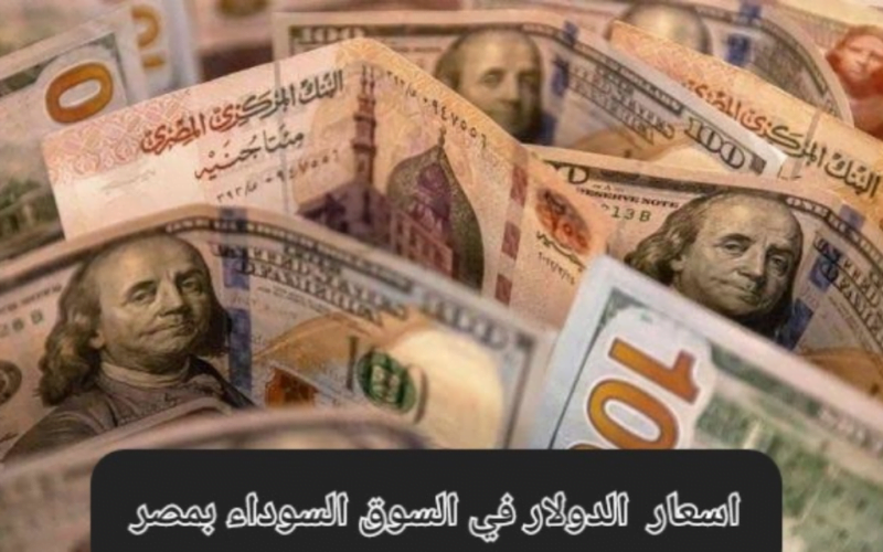 ‘‘  الأخضر مهنج ‘‘ سعر الدولار في السوق السوداء اليوم 27 / فبراير / 2024 وفي البنوك المصرية