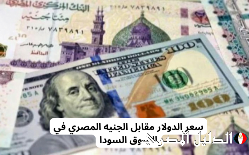 ‘‘ الأوروبي بيضيع علي الآخر ‘‘ اسعار العملات في السوق السوداء اليوم الاثنين 4 مارس 2024 بداية التعاملات الدولار واليورو الريال وقعوا