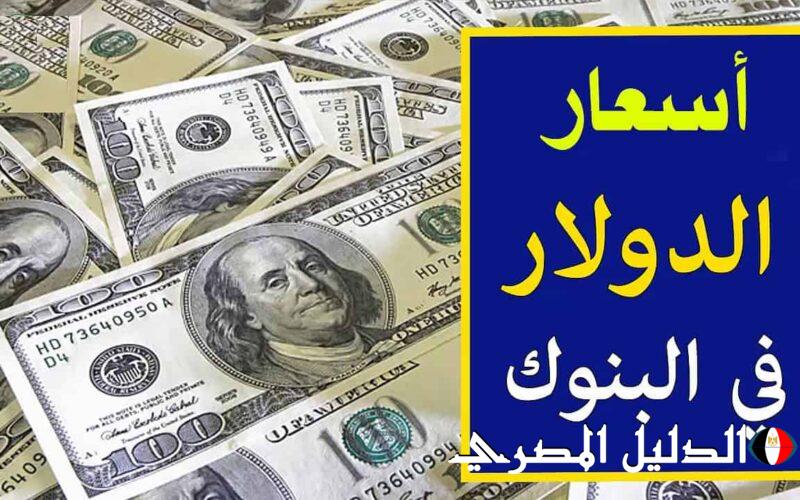 ‘‘ تحرير صرف الأخضر ‘‘ سعر الدولار في البنوك المصرية اليوم الأربعاء 6 / مارس / 2024 بالسوق السوداء