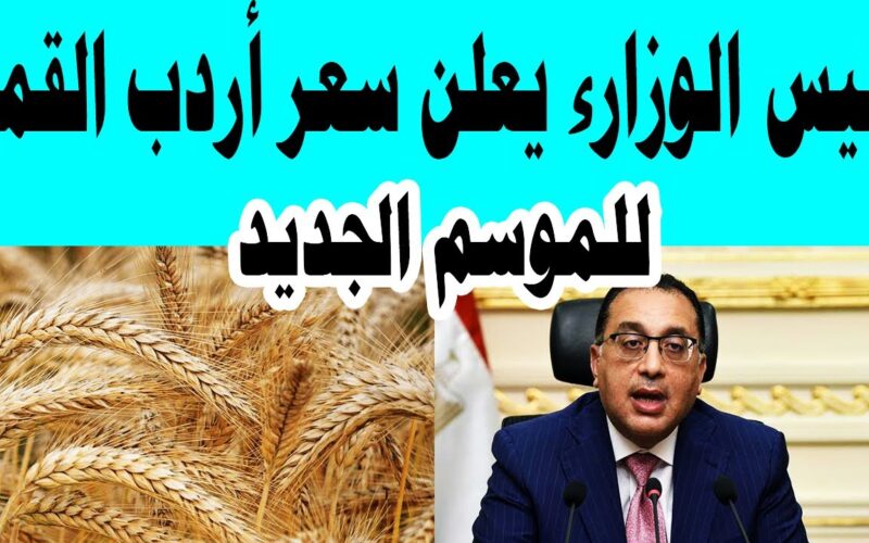 زيادة جديدة في سعر الأردب .. أسعار القمح اليوم في مصر بجميع الاسواق وعند التجار