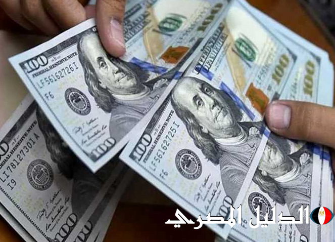 ” الأخضر بكام ” سعر الدولار اليوم 11 أغسطس 2024 في البنوك المصرية والسوق السوداء