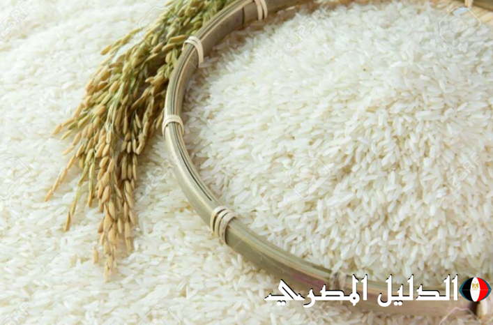 ” الاردب بكام ” سعر طن الأرز الشعير اليوم 11 أغسطس 2024 في جميع الأسواق المصرية