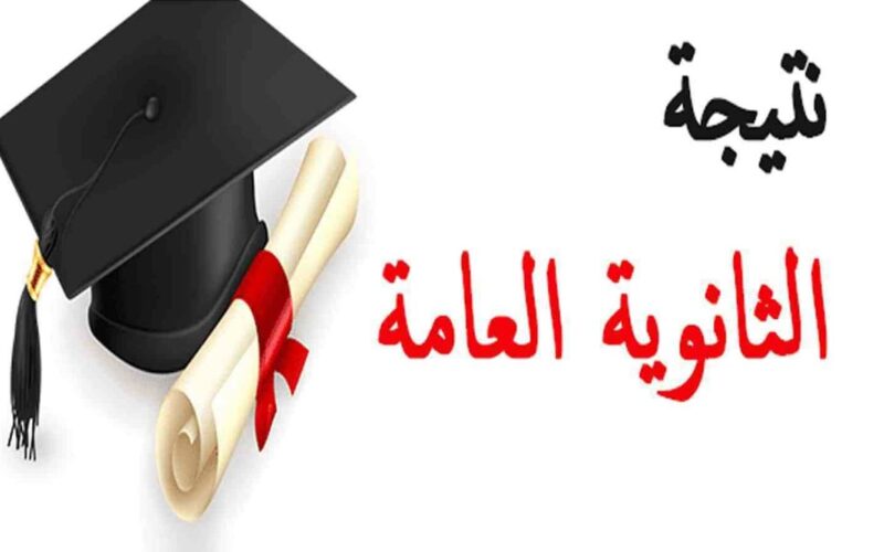 تحميل ملف نتائج الثانوية العامة 2024 بعد التعديل بالاسم