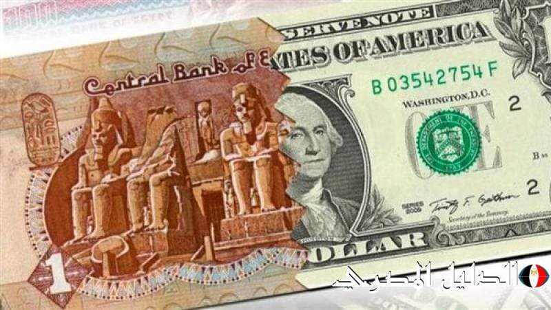 عاجل .. استقرار سعر الدولار اليوم الأحد في البنك الأهلي والبنوك المصرية الأخرى