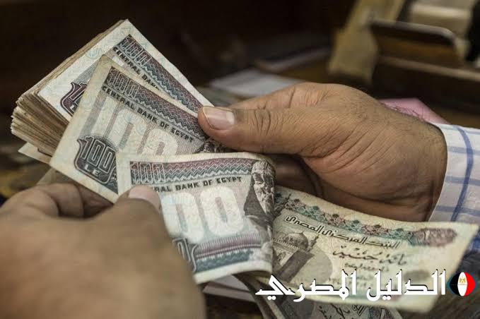 المالية: صرف مرتبات شهر نوفمبر 2024 الأحد المقبل