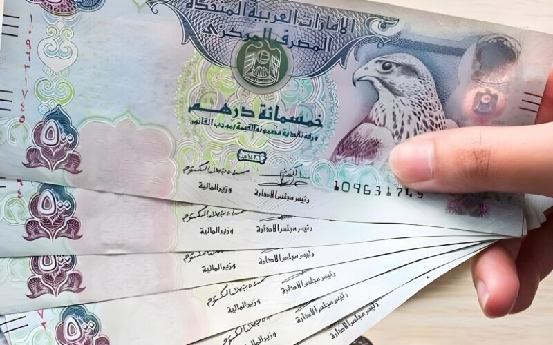 سعر الدرهم الإماراتي أمام الجنيه المصري في البنوك اليوم الأحد 15 ديسمبر 2024.. تحديث أخير