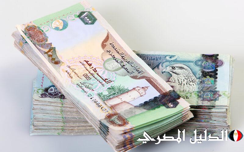 سعر الدرهم الإماراتي أمام الجنيه المصري في البنوك اليوم الاثنين 16 ديسمبر 2024