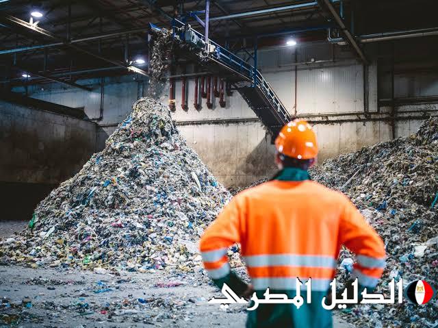 8000 طن سنويا.. أول خط إنتاج لإعادة تدوير عبوات الكرتون بمصر