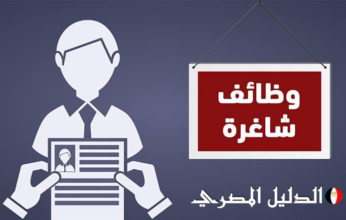 بعد طلب جهات حكومية موظفين.. ما ضوابط التعيين 2025؟