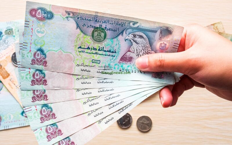 سعر الدرهم الإماراتي مقابل الجنيه المصري اليوم الاثنين 13 يناير.. لحظة بلحظة