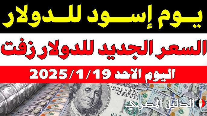 كم سعر 100 دولار اليوم في السوق السوداء؟.. ارتفاع سعر الدولار مقابل الجنية المصري