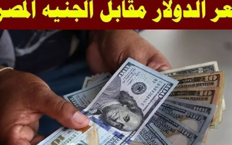 سعر الدولار في السوق السوداء اليوم الاحد 19 يناير 2025 أسعار الدولار في البنوك المصرية