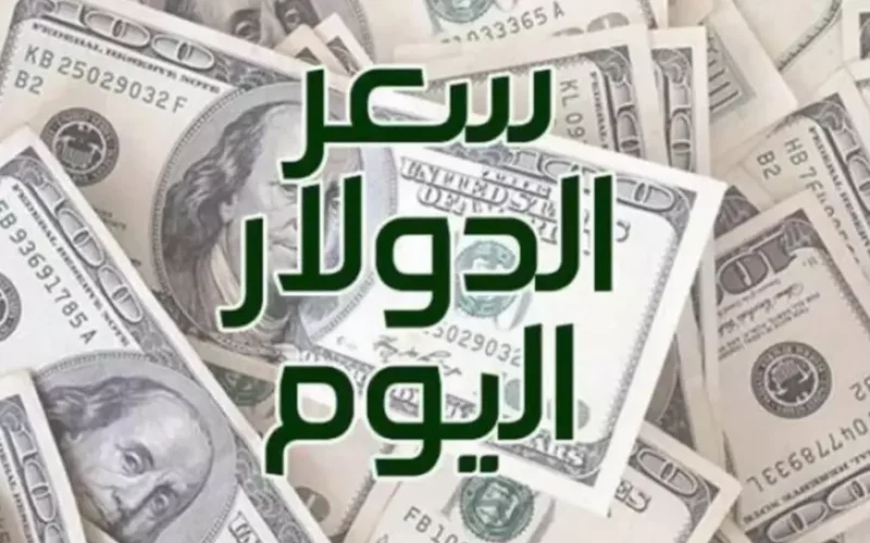 سعر الدولار اليوم في السوق السوداء والبنوك مقابل الجنيه المصري الاثنين 20 يناير 2025