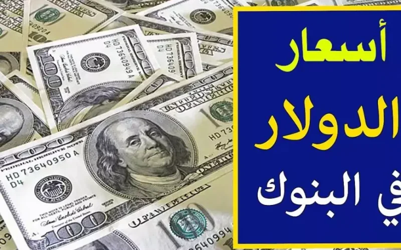 سعر الدولار اليوم في السوق السوداء السبت 18 يناير 2025 اسعار الدولار في السوق الموازية