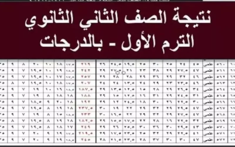 موقع وزارة التربية والتعليم برقم الجلوس.. نتيجة الصف الثاني الثانوي 2025 الترم الاول بالاسم