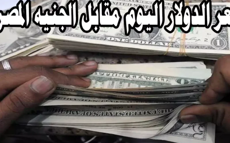 هبوط مفاجىء.. سعر الدولار اليوم في السوق السوداء مقابل الجنية المصري واخر اسعار الدولار في البنك الاهلي ومصر