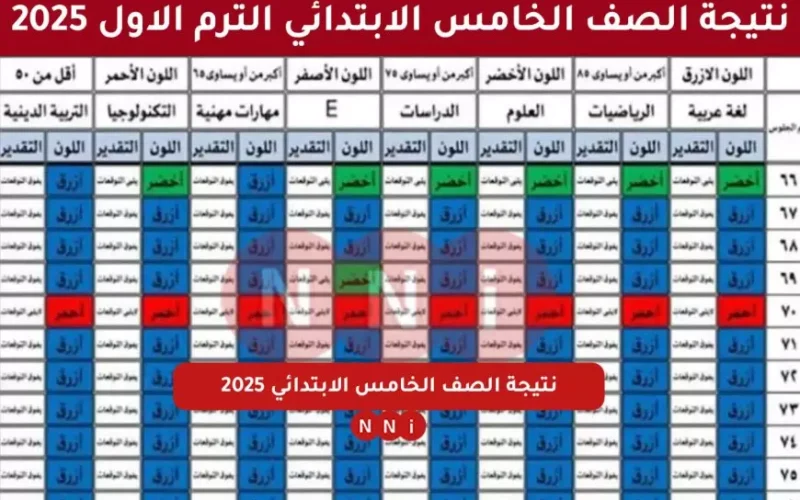 بوابة التعليم الاساسي eduserv.cairo.gov.eg نتيجة الصف الخامس الابتدائي 2025 الترم الأول جميع المحافظات بالاسم ورقم الجلوس