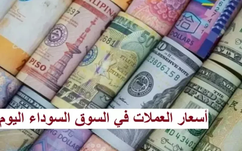 سعر الدولار اليوم مقابل الجنيه المصري في السوق السوداء الاحد 19-1-2025  اسعار العملات في البنوك