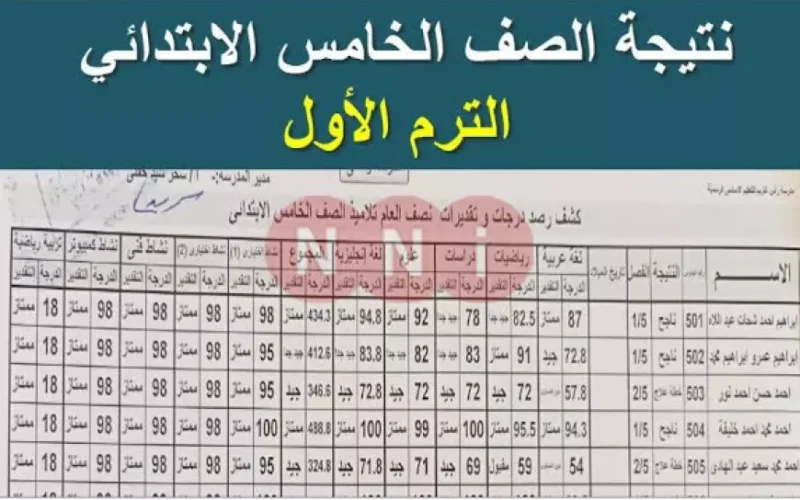 مبروك للناجحين.. نتيجه الصف الخامس الابتدائي 2025 برقم الجلوس والاسم في جميع المدارس عبر eduserv.cairo.gov.eg