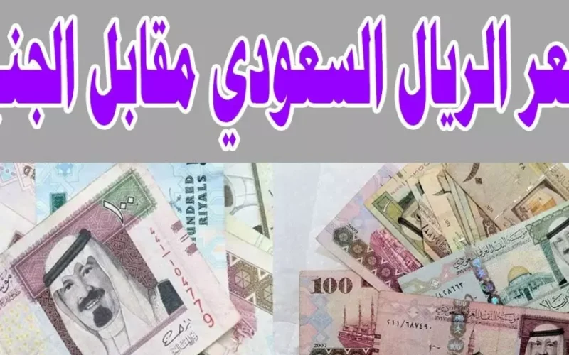 تحديث جديد من البنك المركزي..  سعر الريال السعودي مقابل الجنيه اليوم في البنوك المصرية