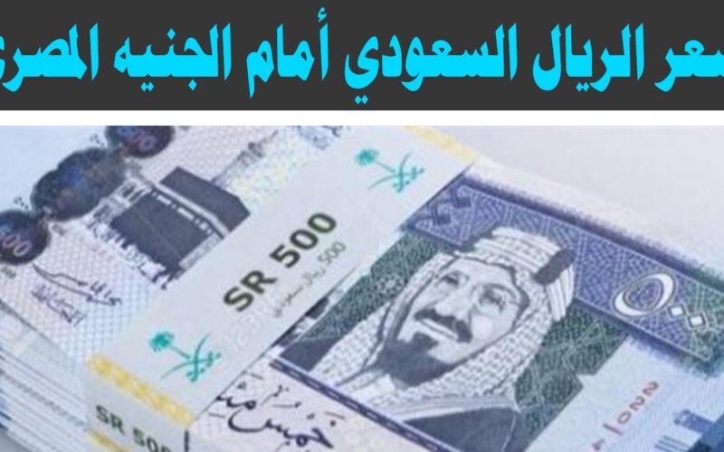 “الريال يزداد من جديد” ارتفاع سعر الريال السعودي مقابل الجنيه المصري في السوق السوداء اليوم