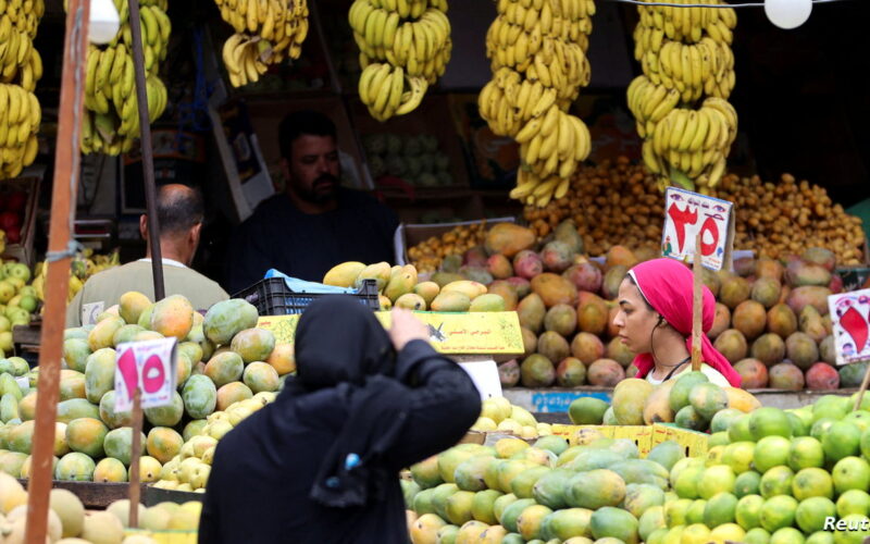 انخفاض التضخم في مصر لشهر يناير 2025