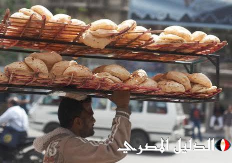 التموين: اهتمام رئاسي بملف الأمن الغذائي